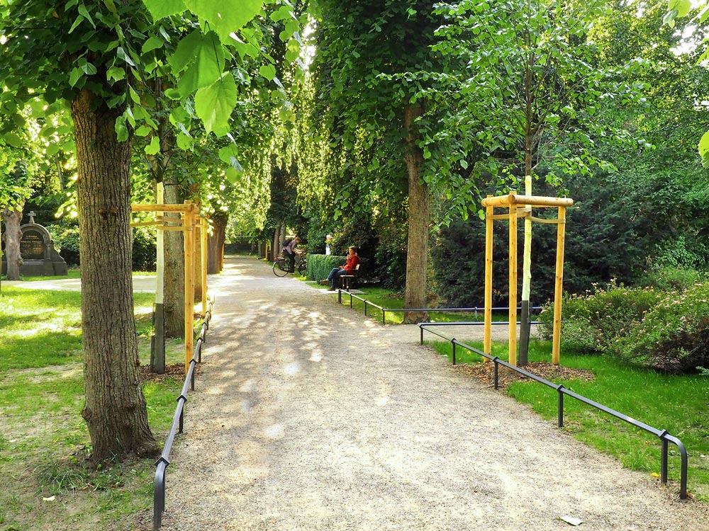 Die Instandsetzung umfasste die Inwertsetzung von Eingängen in den Park, den Einbau von Kniegittern zur Nutzerlenkung sowie Nachpflanzungen von Linden in den Alleen – Foto: G. Lang